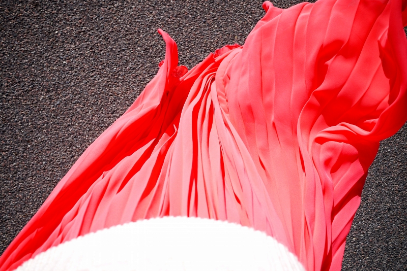 P1040564_conew1.jpg