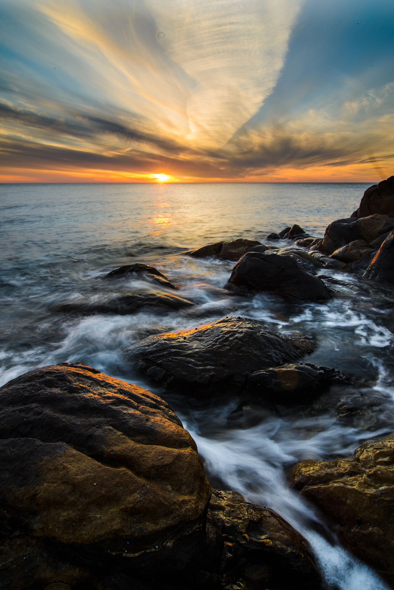 DSC_5214X.jpg