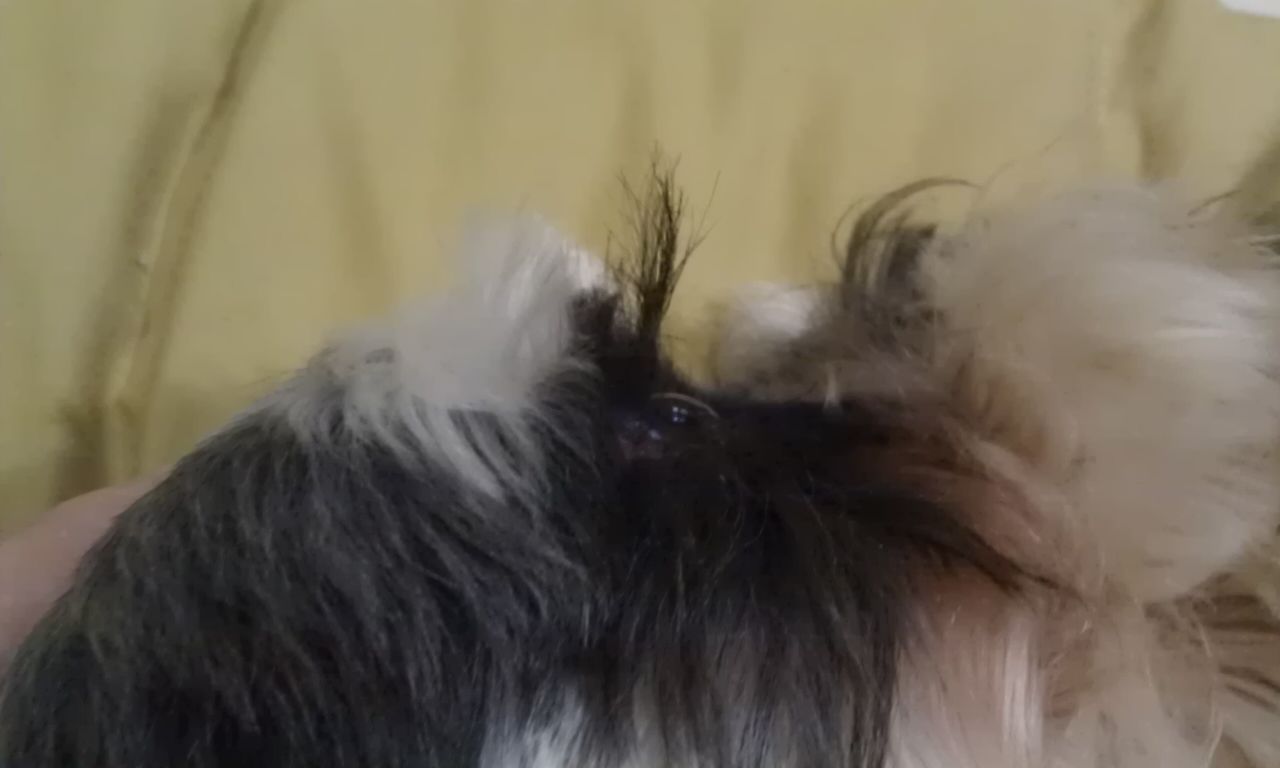 IMAG0558.jpg