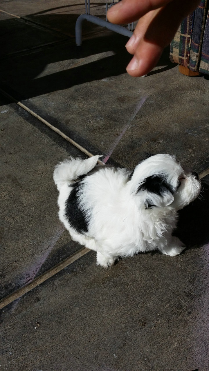 20140621_120141.jpg