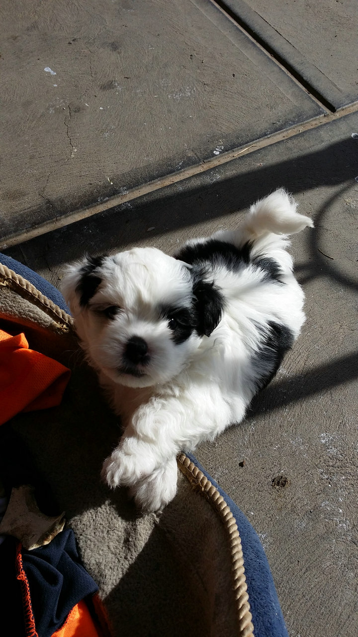 20140621_120219.jpg