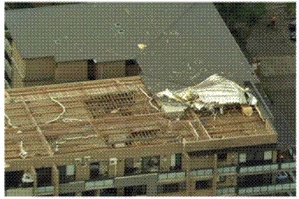 apt 1.jpg