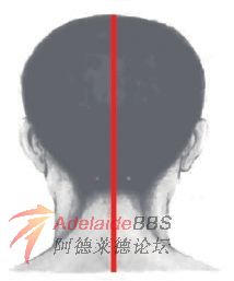 12662030.jpg